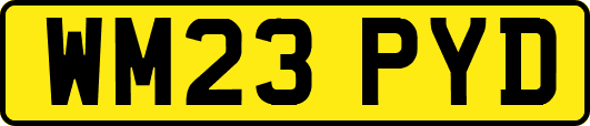 WM23PYD