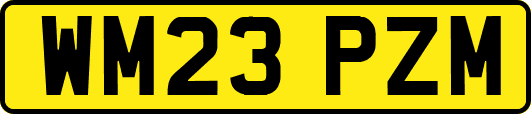 WM23PZM
