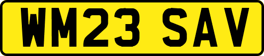WM23SAV