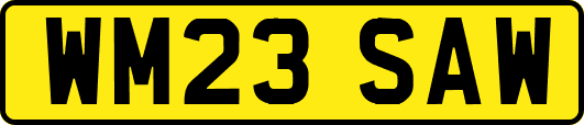 WM23SAW