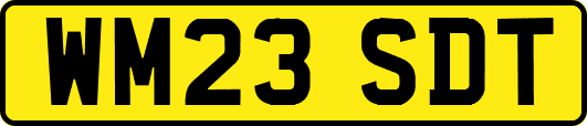 WM23SDT