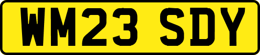 WM23SDY