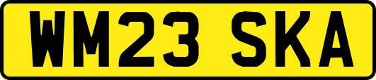 WM23SKA