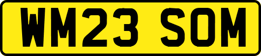WM23SOM