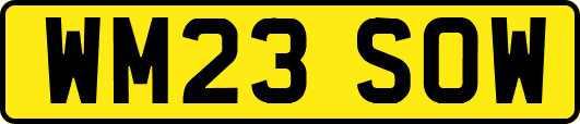 WM23SOW