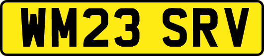 WM23SRV