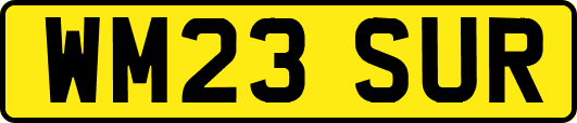 WM23SUR