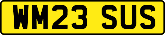 WM23SUS