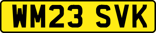 WM23SVK