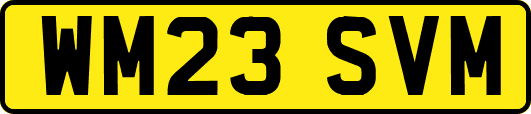 WM23SVM