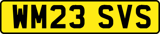 WM23SVS