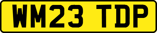 WM23TDP