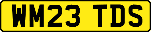 WM23TDS
