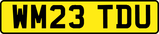 WM23TDU