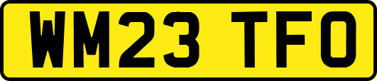 WM23TFO