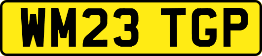 WM23TGP