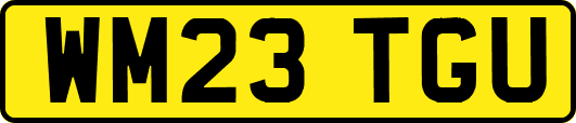 WM23TGU