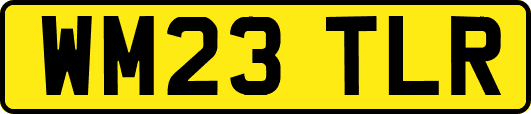 WM23TLR