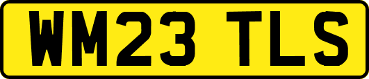 WM23TLS