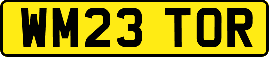 WM23TOR