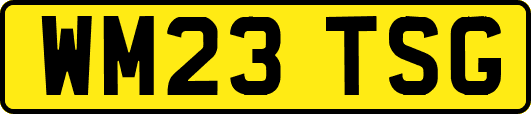 WM23TSG