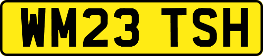 WM23TSH