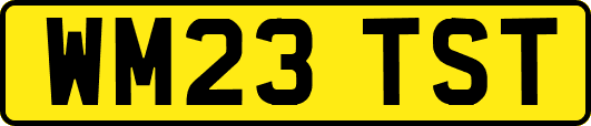 WM23TST