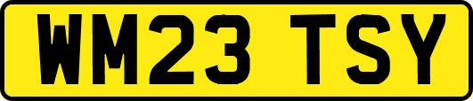 WM23TSY