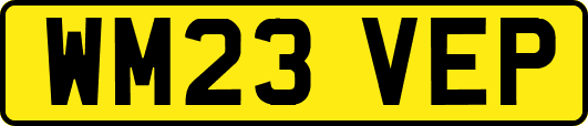 WM23VEP