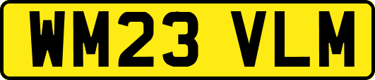 WM23VLM