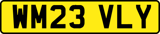 WM23VLY
