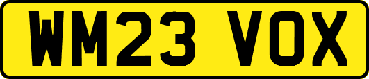WM23VOX
