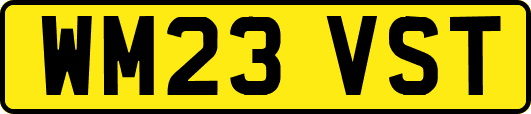 WM23VST