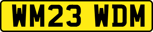 WM23WDM