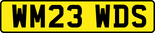 WM23WDS