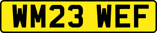 WM23WEF