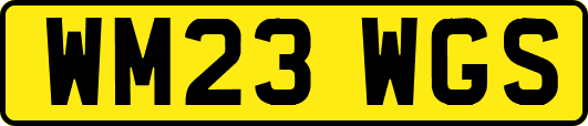 WM23WGS