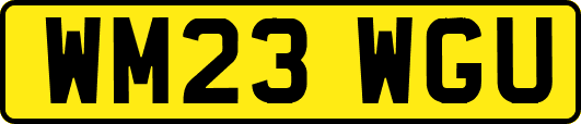 WM23WGU