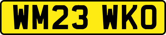 WM23WKO