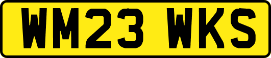 WM23WKS