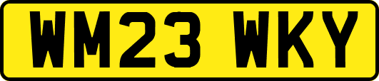 WM23WKY