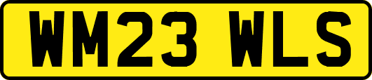 WM23WLS