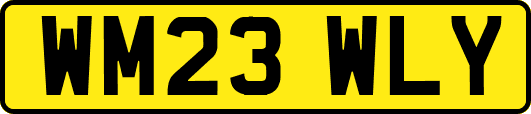 WM23WLY