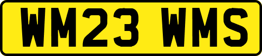 WM23WMS