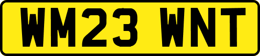 WM23WNT