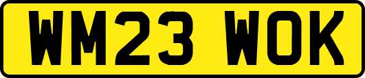 WM23WOK