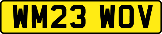 WM23WOV