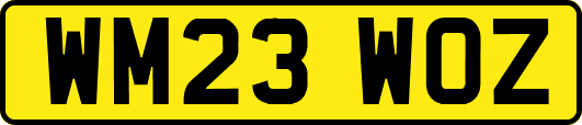 WM23WOZ