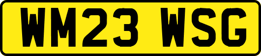 WM23WSG