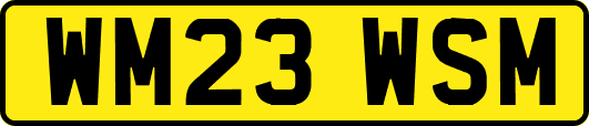 WM23WSM